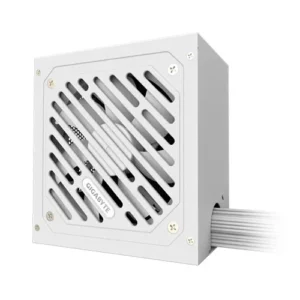 GIGABYTE P650SS Ice Silver ATX 3.0 Smps